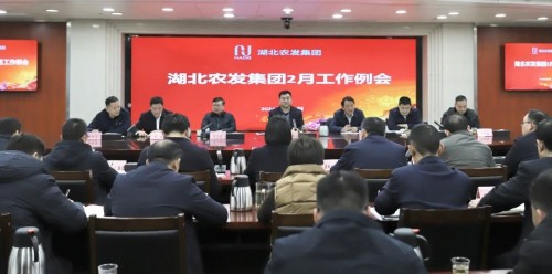 湖北农发集团召开2024年2月工作例会