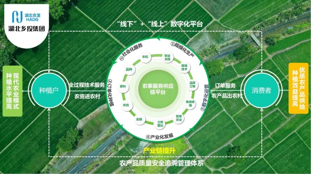 湖北国资:湖北乡投集团——“链”动平台 引领农业新风尚